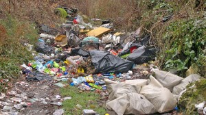 Rifiuti abbandonati sulla Flaminia