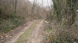 La strada ripulita