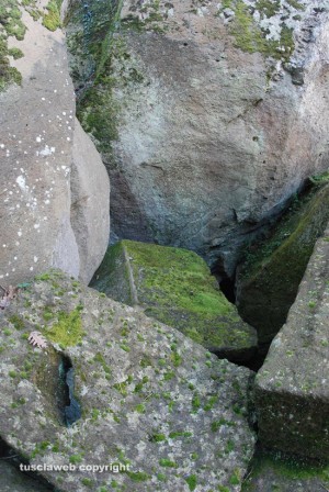 Anno degli etruschi - Vetralla - Alla scoperta del tempietto di Demetra