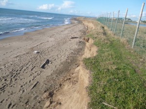 Tarquinia - Effetti dell'erosione del mare vicino alla riserva naturale delle Saline