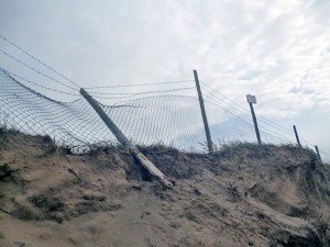 Gli effetti dell'erosione alle Saline di Tarquinia
