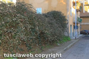 Viterbo - Rifiuti al quartiere Pilastro