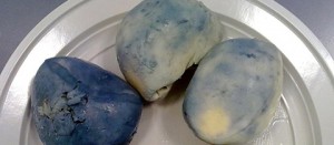 Mozzarelle blu