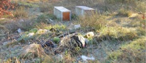 L'immondizia nelle campagne di Vitorchiano