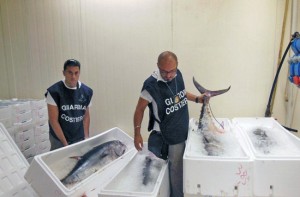 Il pesce sequestrato