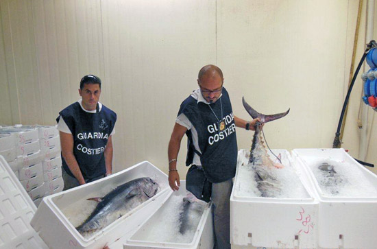 Il pesce sequestrato