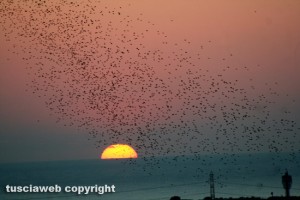Tramonto a Tarquinia