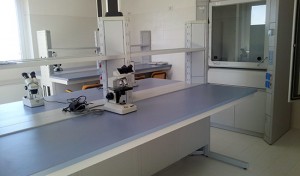 I laboratori di biologia di Civitavecchia