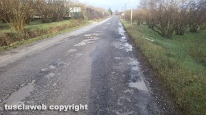 Le buche sulla Sp 33