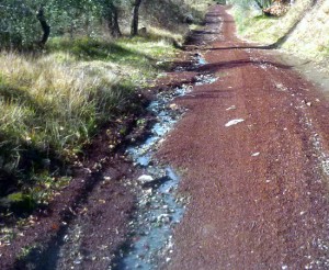 Bolsena - Via Francigena e strade rurali