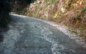 Bolsena - Via Francigena e strade rurali