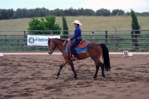 Fantino a cavallo