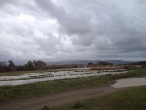 Il fiume Mignone