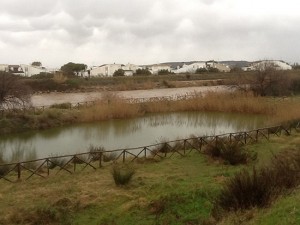 Gli argini del fiume Marta tra il Lido e Marina Velca