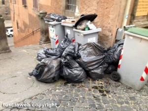 Viterbo - Rifiuti nei pressi di Palazzo dei Papi