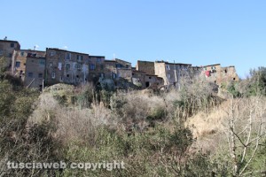 Blera