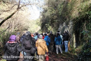 La passeggiata/racconto "Scrivere la roccia. Le necropoli etrusche di Blera"
