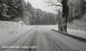 Neve sulla Cimina