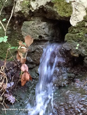 Viterbo - Una perdita d'acqua nei pressi di via Signorino