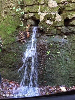 Viterbo - Una perdita d'acqua nei pressi di via Signorino