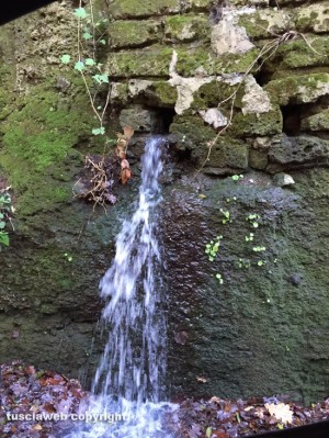 Viterbo - Una perdita d'acqua nei pressi di via Signorino
