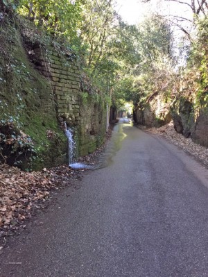Viterbo - Una perdita d'acqua nei pressi di via Signorino