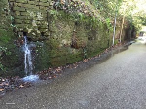 Viterbo - Una perdita d'acqua nei pressi di via Signorino