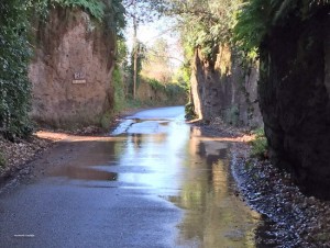 Viterbo - Una perdita d'acqua nei pressi di via Signorino