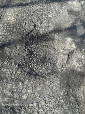Latera - Le buche sulla strada 74 Maremmana