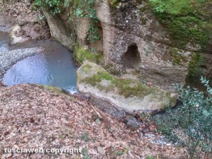 Viterbo - Un tratto della Palanzana