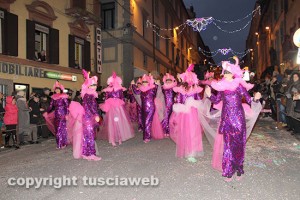 La mascherata "I fenicotteri"