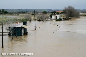 Tarquinia - Il Mignone esondato - Foto di Bruno Ciuffatelli