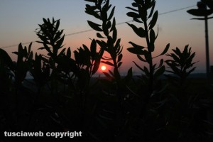 Tramonto a Tarquinia