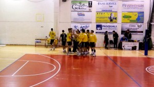Orte volley