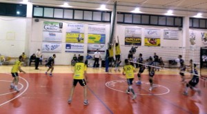 Orte volley