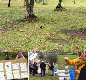 Il laboratorio di ornitologia al Parco delle Querce