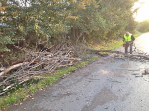 Tarquinia - I volontari della protexione civile rimuovono gli alberi caduti