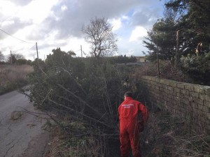 Tarquinia - I volontari della protexione civile rimuovono gli alberi caduti