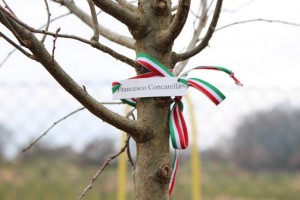 Lubriano - La cerimonia "Un albero per ogni bambino"
