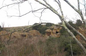 Walk in Tuscia alla Bicoca