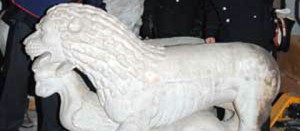 I leoni che danno il nome al processo Lions
