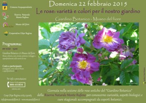 Le rose: varietà e colori per il nostro giardino