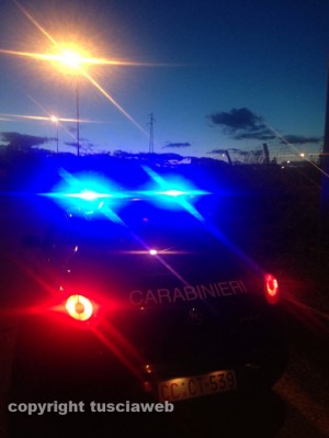 Alberi caduti, carabinieri sul posto