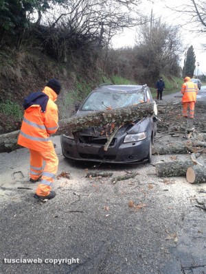 Maltempo - Incidente sulla strada provinciale Onanese