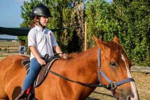 Tarquinia - Un momento di “Ippo in campo”
