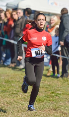Erika Cianchelli