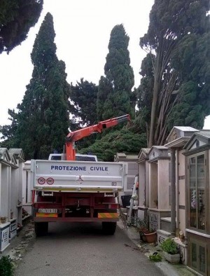 Cipressi caduti al cimitero comunale