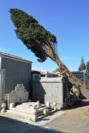 Tarquinia - Lavori in corso al cimitero san Lorenzo