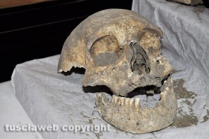 La strage di Ferento - Un cranio