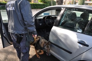 Guardia di finanza - Operazione Mantide